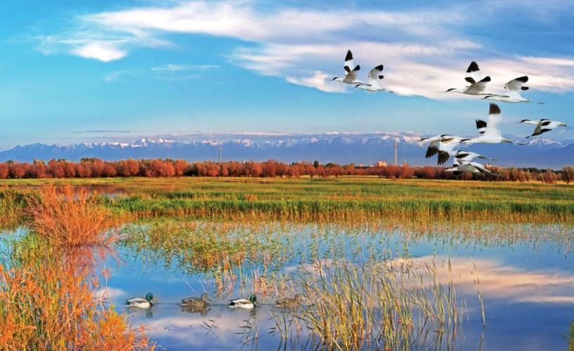 张掖国家湿地公园——湿地博物馆