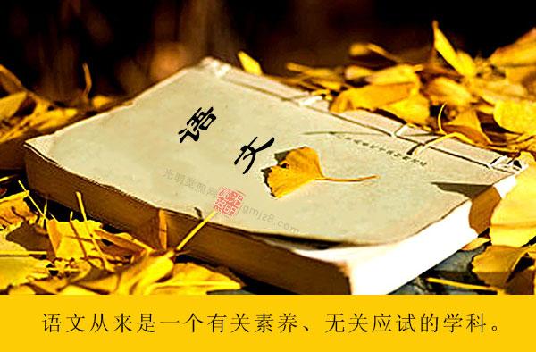 高考语文148分,她说:语文从来就是一个有关素养无关应试的学科