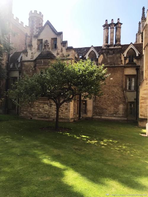 剑桥大学三一学院,牛顿的苹果树