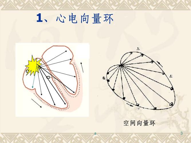 心电图心电向量详细讲解.ppt