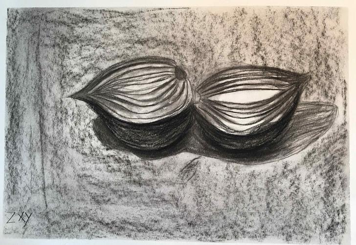 意象素描班(周六上午10:20班)作品