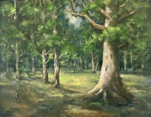 写生微展(新西兰)