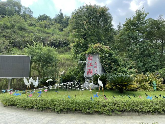 增城白江湖森林公园_森林_瀑布_景点_周边游_豆腐花_游泳圈_农夫山泉