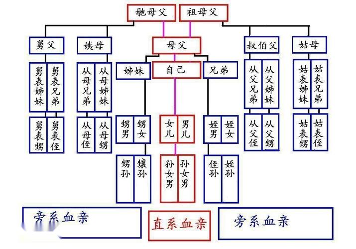 表姊妹