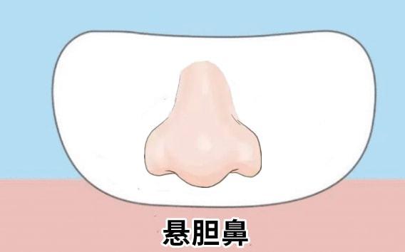 原创鼻子看财运一种鼻子一种命穷人鼻贵人鼻你的什么样