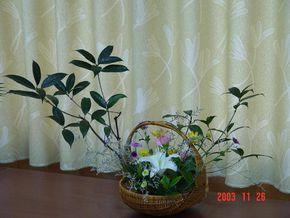 平铺式插花图册_百度百科