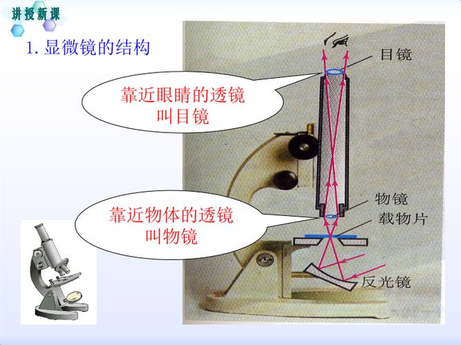 八年级物理上册-透镜及其应用-第5节 显微镜和望远镜课件