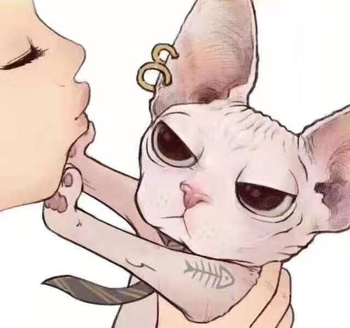 斯芬克斯猫 西装