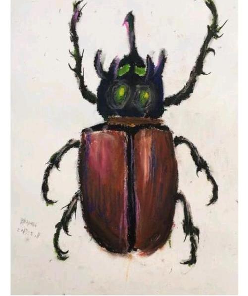 与米诺多蒂菲相比,有些人真的很不堪!连虫子都不如