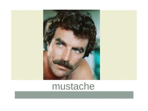 hair curly hair wavy hair short hair long hair bald mustache