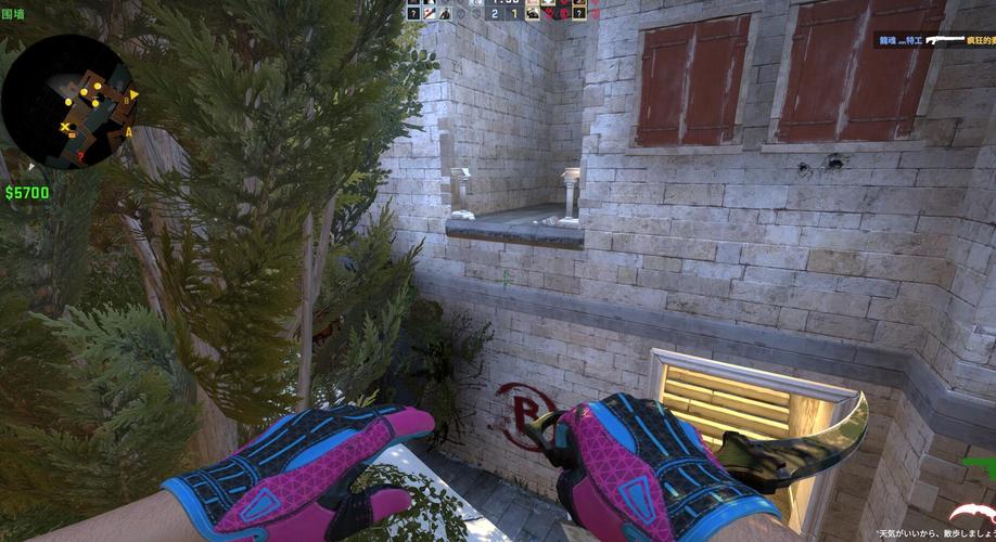 csgo真就一发入魂迈阿密手套呗