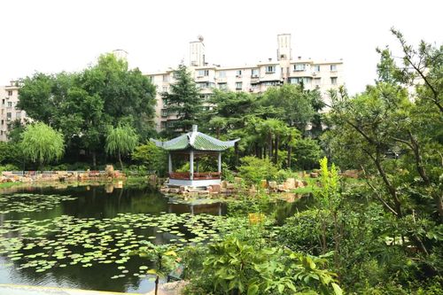 曹杨公园景观湖(局部) 资料来源:普陀城投 编辑:陈珺 点击