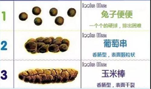 器质性便秘是先天性肠道畸形导致的便秘,例如巨结肠,肠息肉等,这种