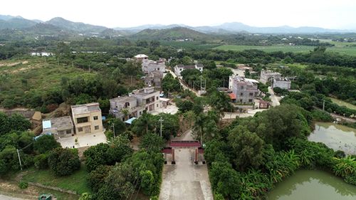 惠东县多祝镇塘田村致富路上唱响幸福歌