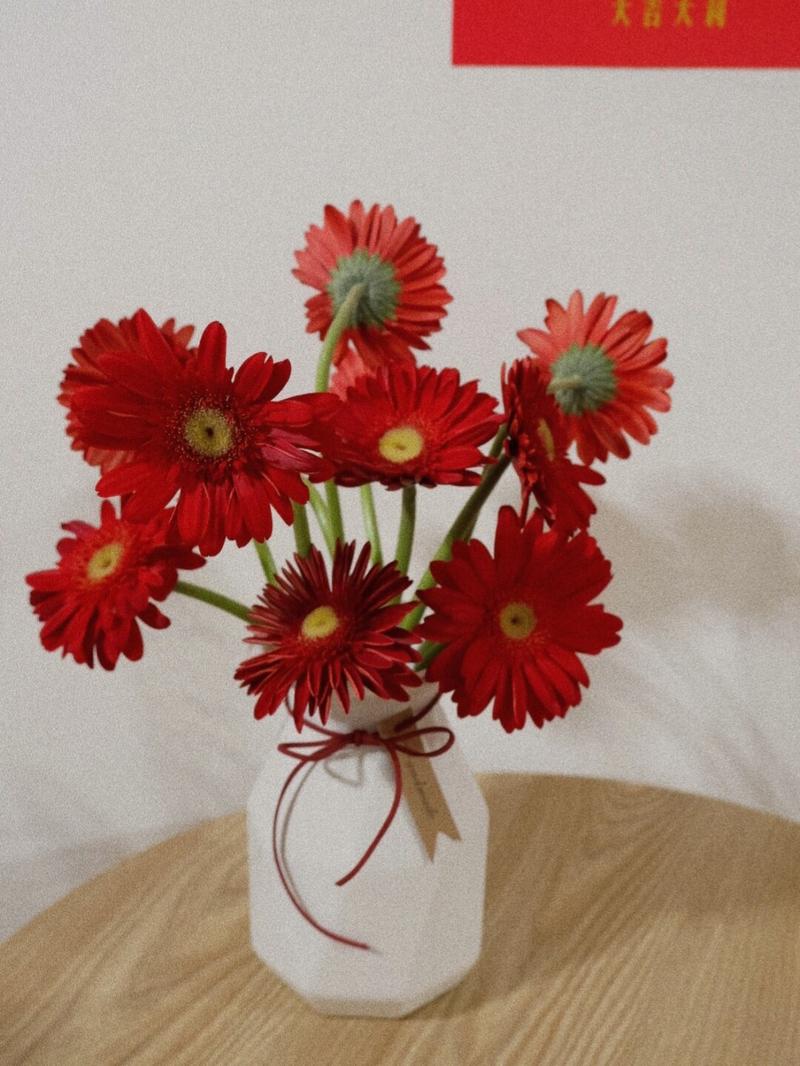 弗朗花 扶郎花 郑州花店 去野花艺工作室