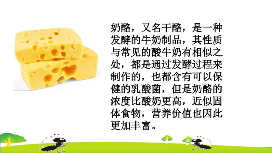 部编版三年级上册语文课件《一块奶酪》