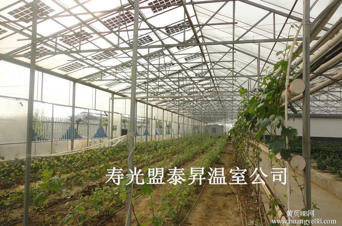 光伏太阳能温室节能型蔬菜大棚