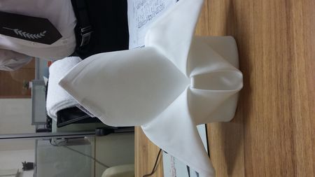 这个口布花怎么叠啊? 急 谢谢