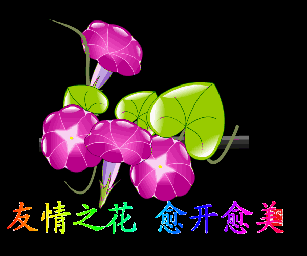 友谊之花校园开作文