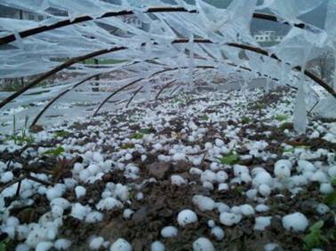 四川达州等地遭受风雹灾害 27.5万人损失2.5亿(图)