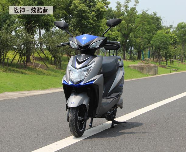出口战神尚领迅鹰 长跑王电动车 电动摩托车 电动车 成人