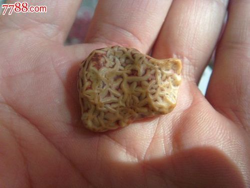 内蒙古玛瑙静脉石