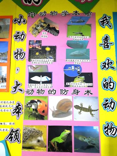 《五官拼拼看》和《身边的动物》《我最喜欢的动物》《向动物学本领》