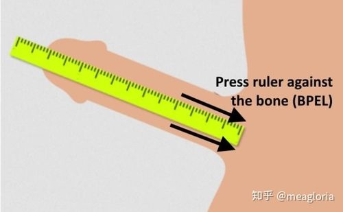 bpel丁丁长度量测法步骤