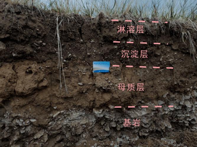 土壤剖面