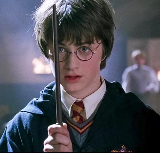哈利波特头像