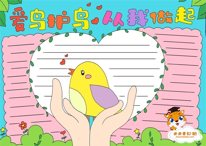 爱鸟护鸟为主题的手抄报,爱鸟护鸟从我做起手抄报内容