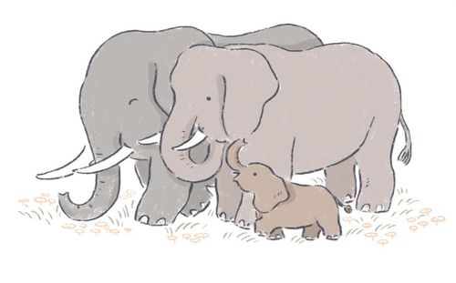 大象能维持生态系统平衡,增加稀树草原和森林生物多样性