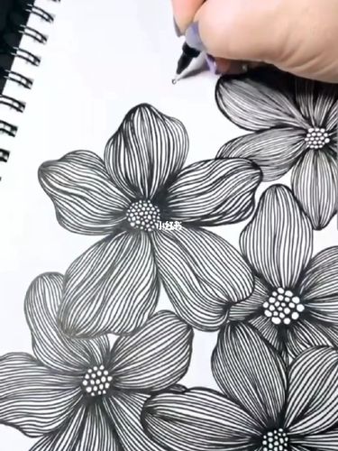 手绘线条画,解压绘画_绘画_线条画_解压_手绘_火烈鸟艺术沙龙自由行