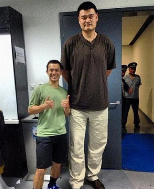 无意间和姚明比拼身高的娱乐明星们