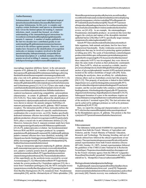biomphalysin, a new β pore-forming toxin involved in