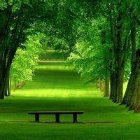 2017好看的风景qq头像清新自然 若问相思处花开花落时