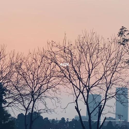 街景 黄昏街道_夕阳_街景_摄影_街头_街头摄影_出行