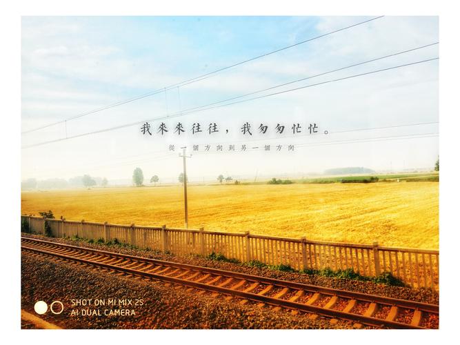 来来往往,匆匆忙忙,火车飞驰,时光易逝!