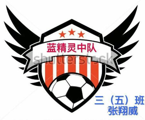 超越梦想,放飞自我 一一三(5)班足球队徽设计