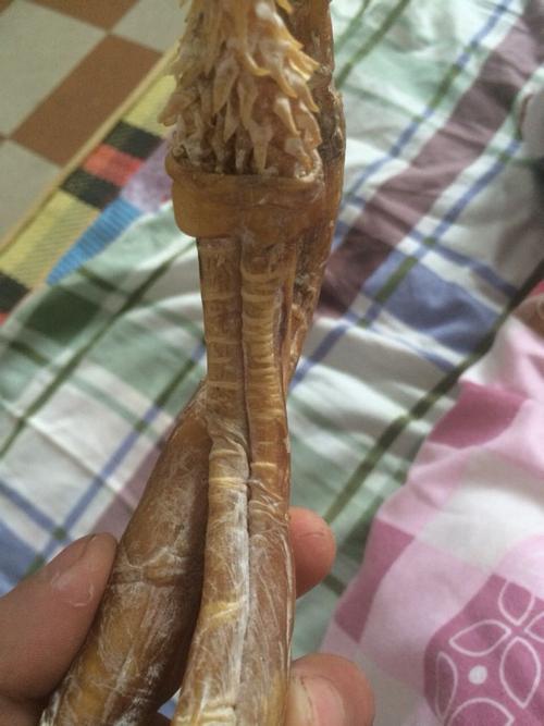 虎鞭? 追问: 是 追答: 出手吗? 追问: 买得起吗?