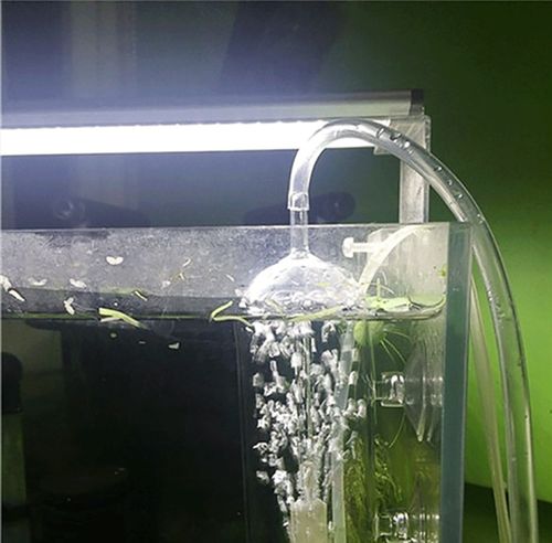 仟鱼水族硅胶管鱼缸氧气泵增氧泵专用氧气管4x6mm管子气泵管