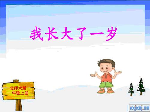 我长大了一岁ppt