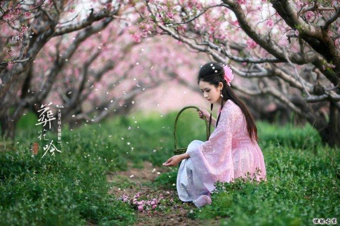 葬花吟
