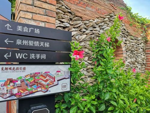 泉州 觅鲤_景点_觅鲤文创园攻略_文创_旅行_泉州旅行