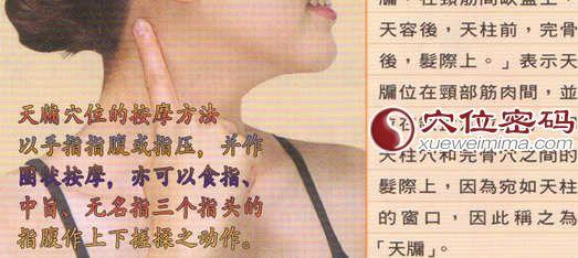 天牖穴的准确位置图_天牖穴的作用_三焦经_穴位密码网