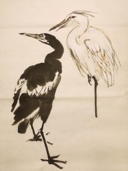 大骞研习社主讲导师赵晨:写意花鸟画竹鸡,仙鹤和鹭鸶的画法讲解与示范