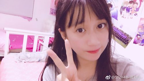 snhey! 自动收集了snh48的动态(目前仅限新浪微博).