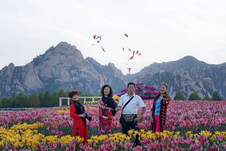 千亩花海美名引来四方游客,时值我们家群第二次来嵖岈山游玩,于是