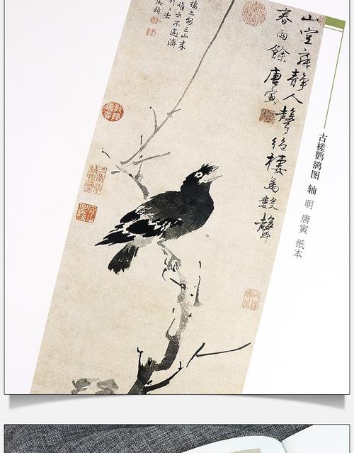 二手九九新【8开32页】中国历代花鸟画精品典辑 小写意临摹范本韩璐编