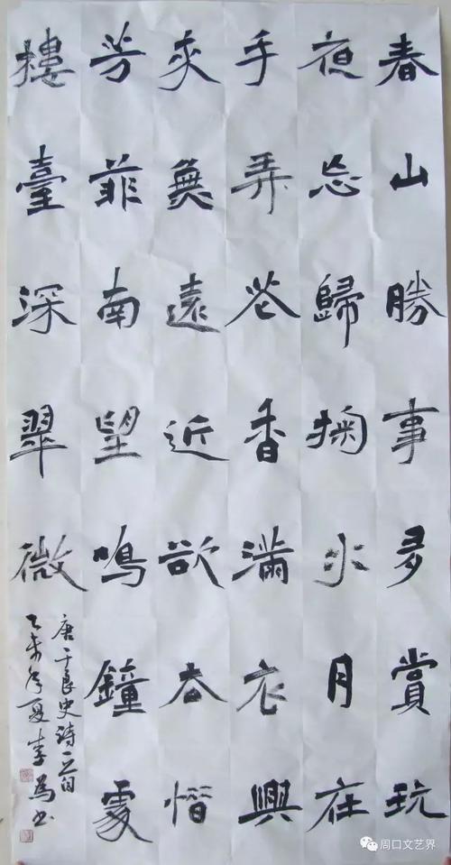 周口文艺名家——李为